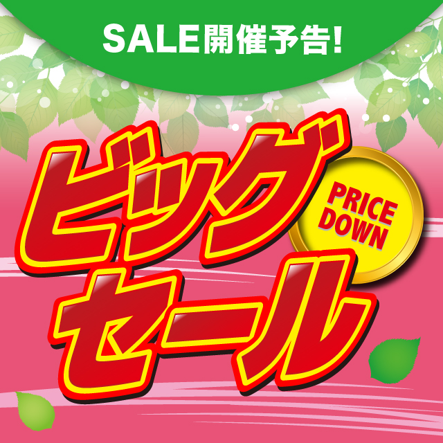 shimojima_jp's tweet photo. ★☆開催予告☆★
 
全国のシモジマ/パッケージプラザグループで
3月2日（月）より「ビッグセール」を
開催いたします🛍️‼️

／🌸
ご来店お待ちしております🛒
 ＼🌸

▼WEBチラシはこちら▼
https://t.co/hlQtReNmdJ
※店舗により開催期間が異なります。
※地域によりセール対象商品が異なります。 https://t.co/CghREKqZiW