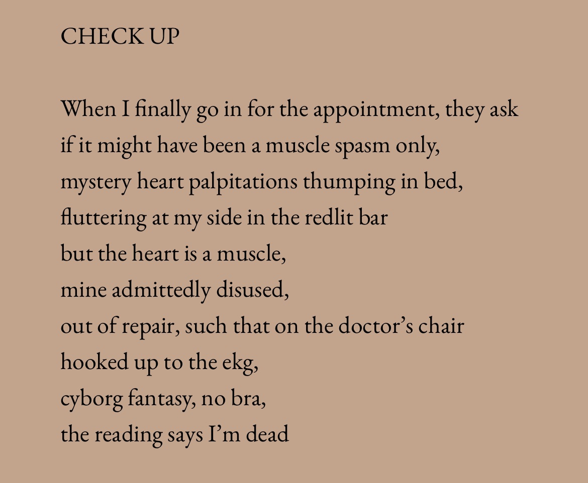 Nora Rawn tweet media