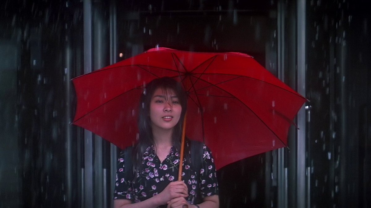 Nicolas Pedrucci tweet media