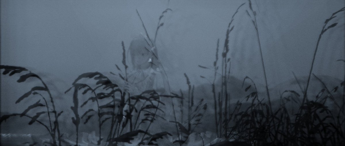 色あせ.

#Grus 
#INTEGRAL_CAM