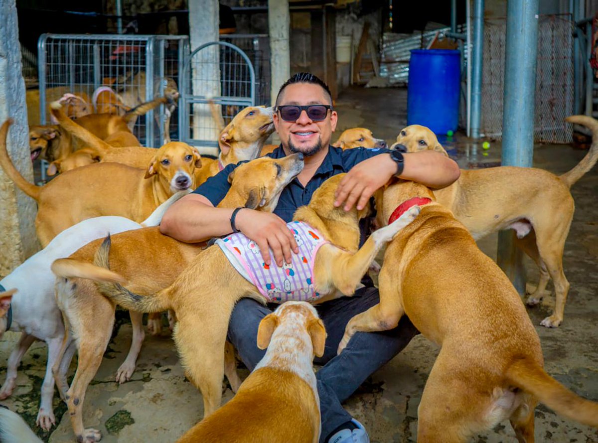 elsalvador's tweet photo. ¡Buenos días, El Salvador! ☀️

Edwin Geovanny Martínez Rodas es un rescatista de perros que lleva más de 17 años en esta labor altruista en La Paz. Su amor por los animales surgió desde que era niño, pues le encantaban; alimentaba a más de alguno en la calle y, si lo encontraba en abandono o enfermo, lo llevaba a su casa, aun sin consultarle a sus padres. Actualmente cuenta con dos refugios, uno en El Rosario y otro en Zacatecoluca. Su mayor sueño es tener una veterinaria móvil. 🐶🐕

Fotos Mirna Velásquez/#DiarioElSalvador