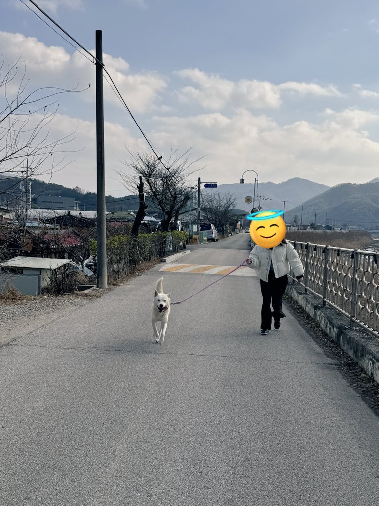 노루🦌NORU🦌 tweet media