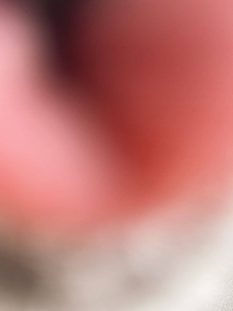 노루🦌NORU🦌 tweet media