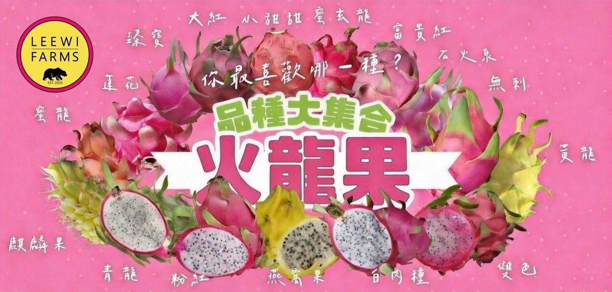 leewifarms's tweet photo. Happy Chinese New Year 2026! Welcoming the Year of the Horse with the spirit of charging ahead and staying out in front. 祝大家新年快樂，萬事如意，馬到成功！ Leewi Farms proudly grows the largest collections of Chinese and Taiwanese dragon fruit varieties in the United States. https://t.co/Dwn1StL6eK