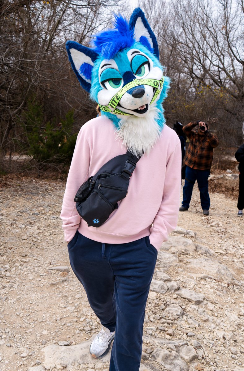 Dabba The Fox 🦊 🔜 TFF tweet media