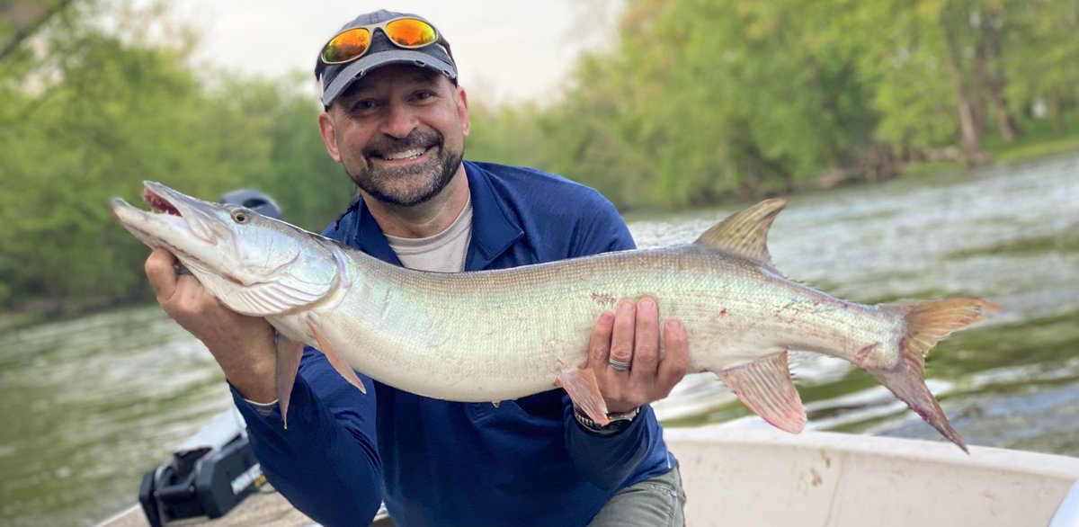 First time fly fishing for musky and this fella goes 3-5 💪🏼💯