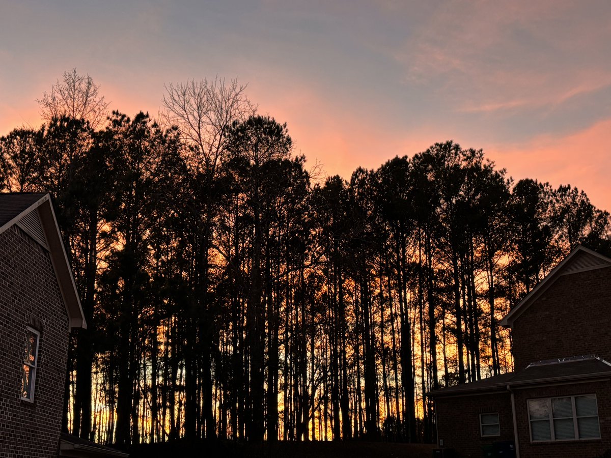 Carol McLaughlin tweet media