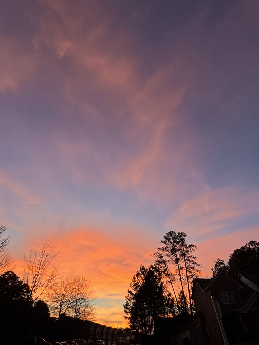 Carol McLaughlin tweet media