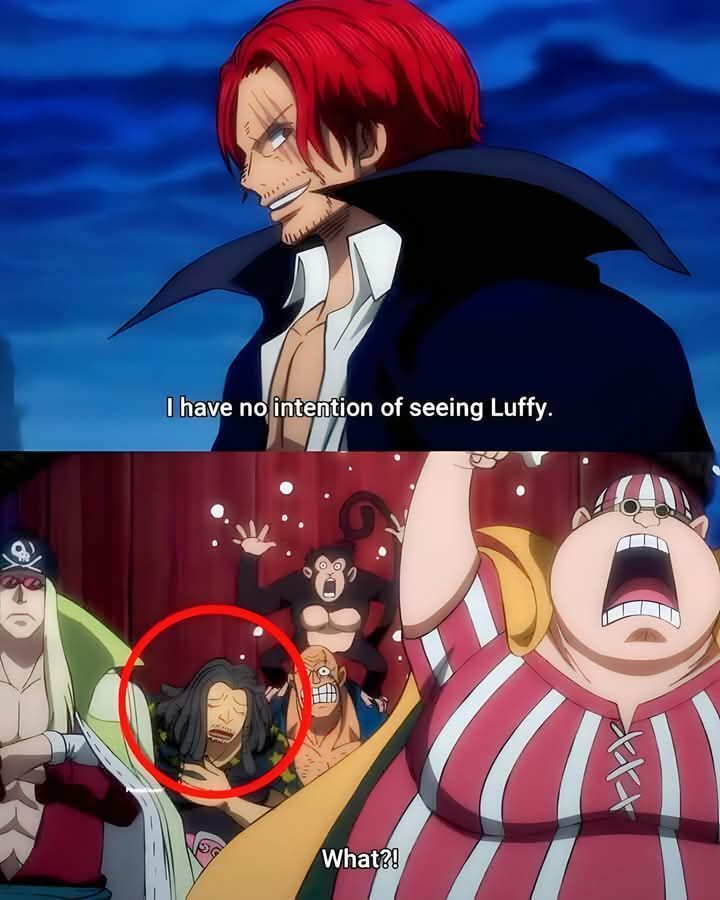 One Piece Daily tweet media