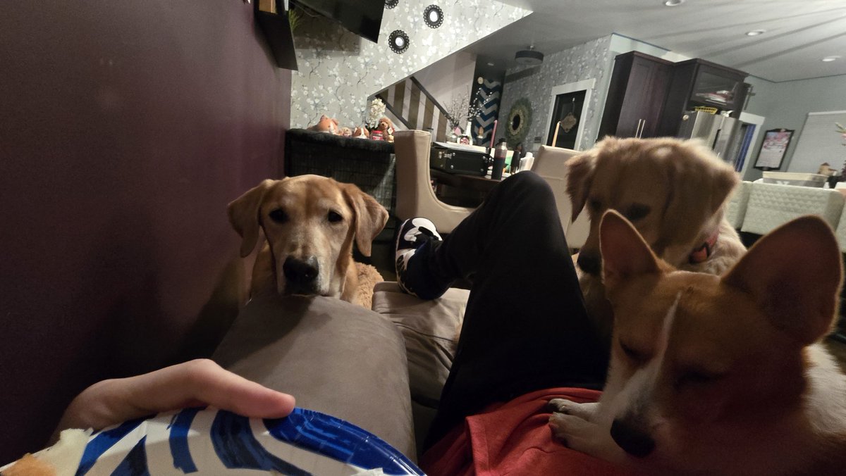 bigbangjosh's tweet photo. When you're done eating and the 3 vultures notice 3 perfect pieces left on the plate they all move in closer and closer....

Somehow nobody takes, its just a waiting / who can get closest game... https://t.co/QunMeDkjU7