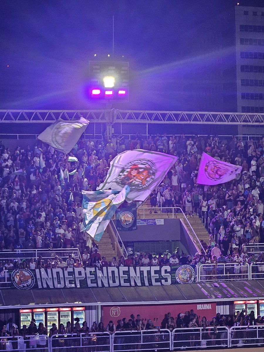 De fato bambu e bandeira 4x4 não tavam na lista de restrições da <a href="/RioCarnaval/">Rio Carnaval</a>. Agora, lata, inclusive de produtos vendidos no sambódromo, aí já é demais