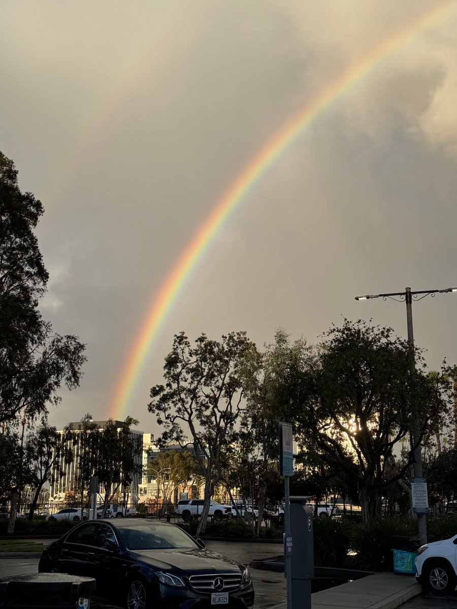 Jeanette Yoffe tweet media