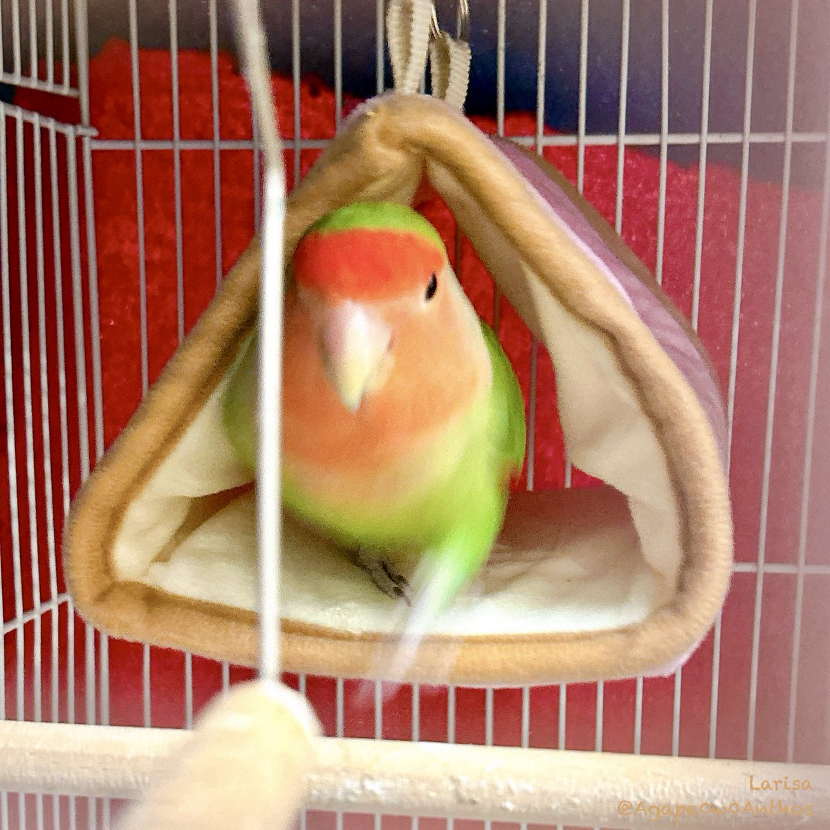 ＼いま撮ってたでしょ！／