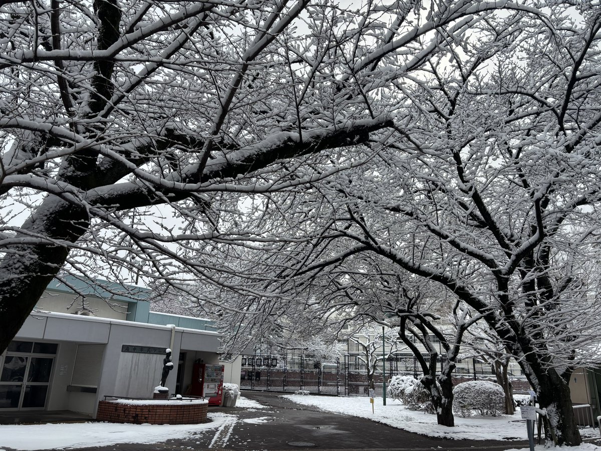 京王バス【公式】 (@keiobus_info) / Posts and Replies / X