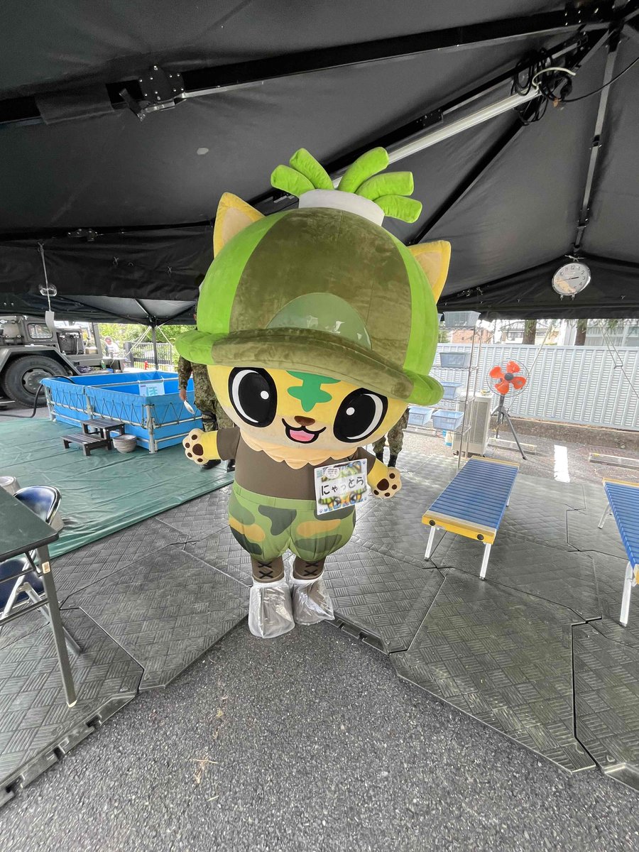 こんにちはニャン🎵 ニャニャ😺今日は #猫の日 ニャン🐈💕 にゃっとら