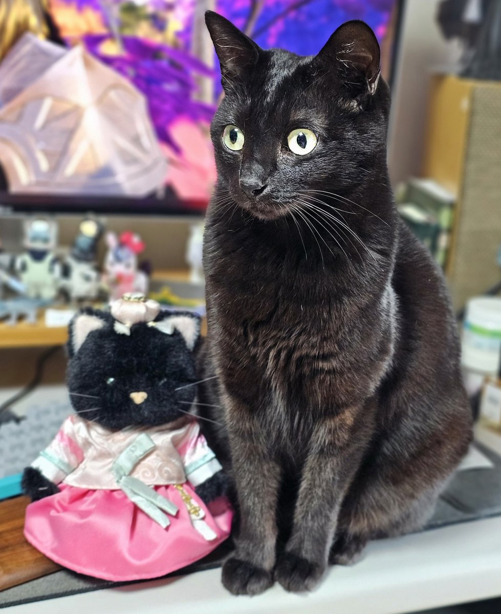 키렐🐈‍⬛ tweet media