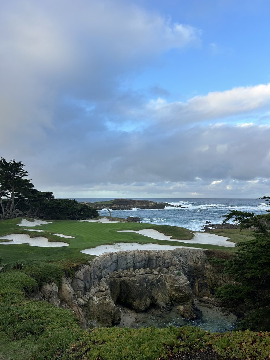 Tank Evans tweet media