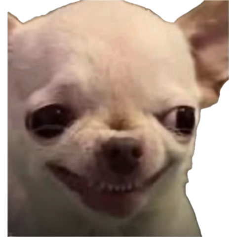 el deivid 🫂 tweet media