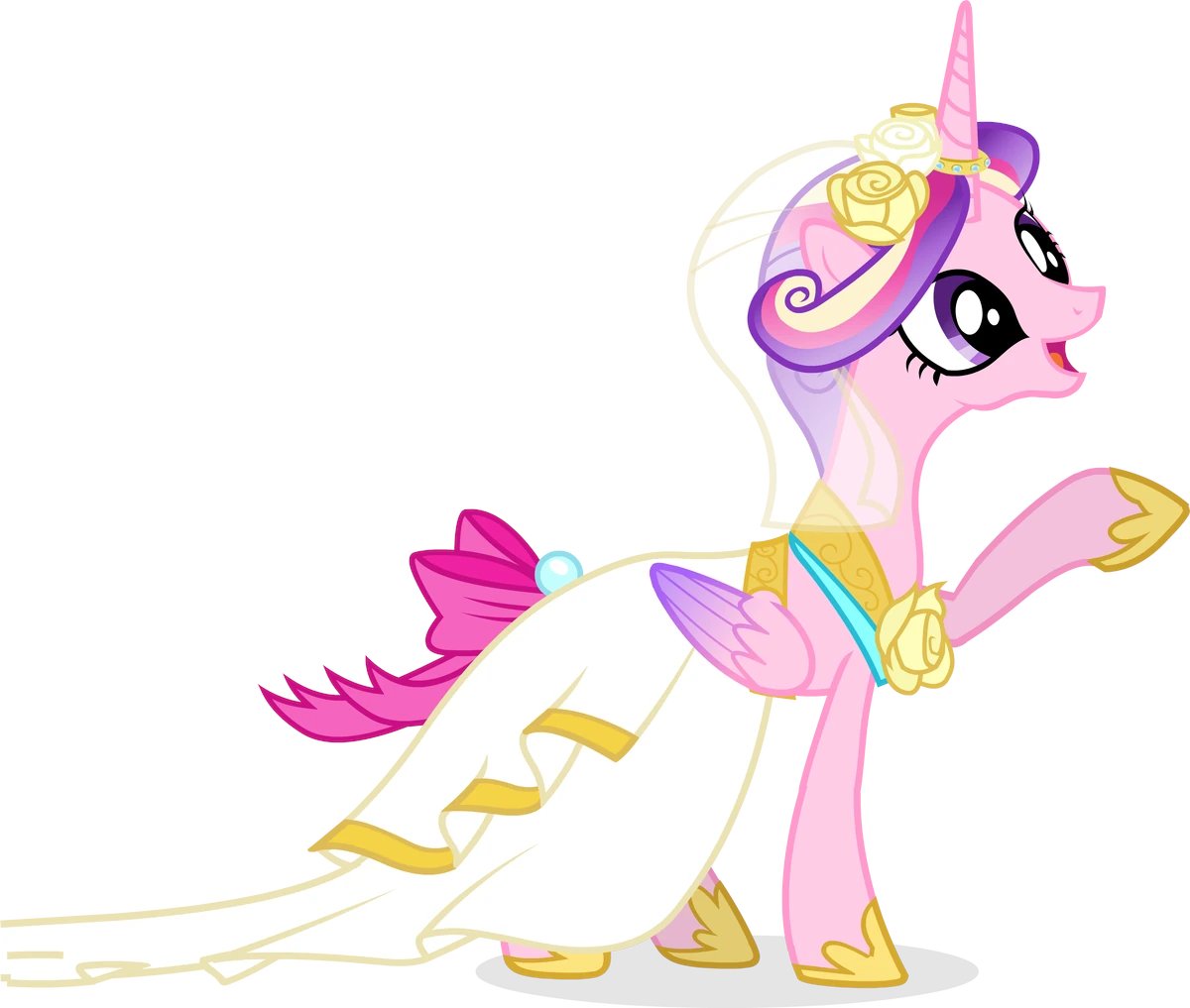 Thoughts on my wedding Cadance?