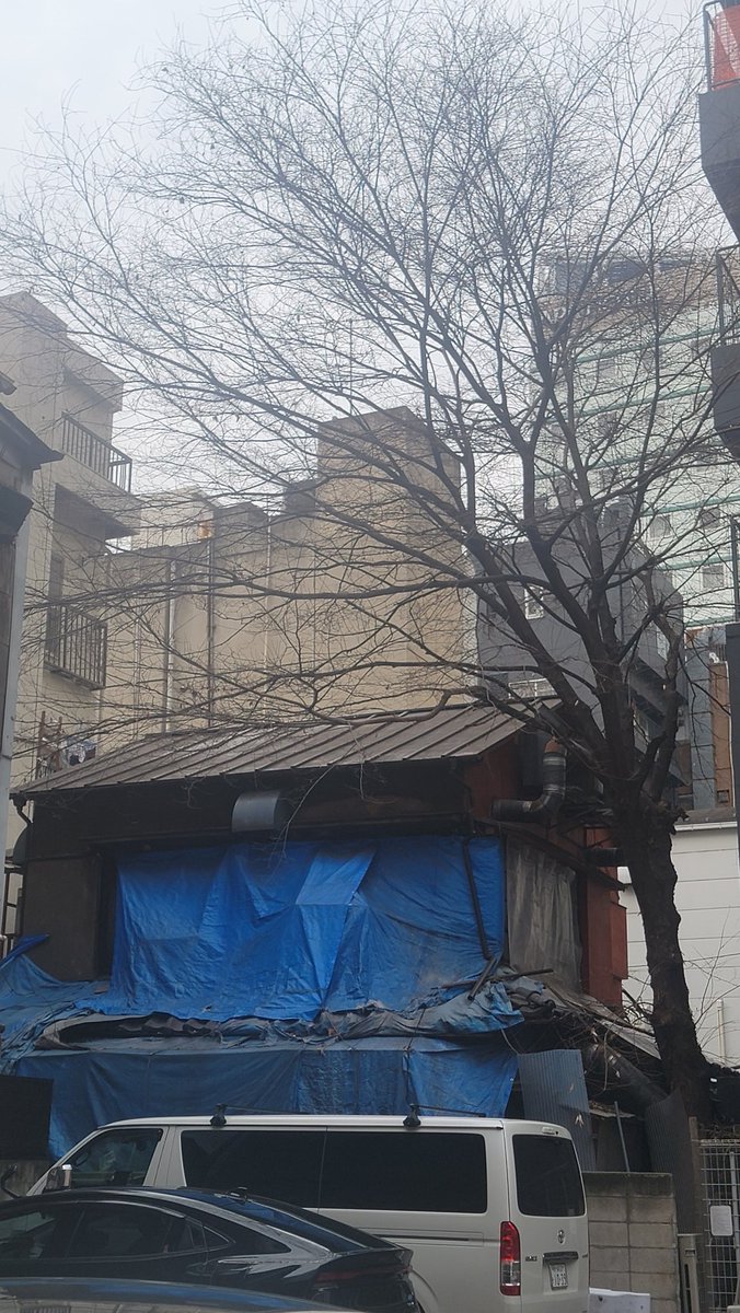 オレンジパブ tweet media