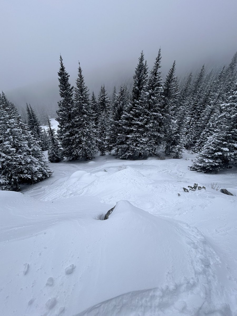 Bret Freudenthal tweet media