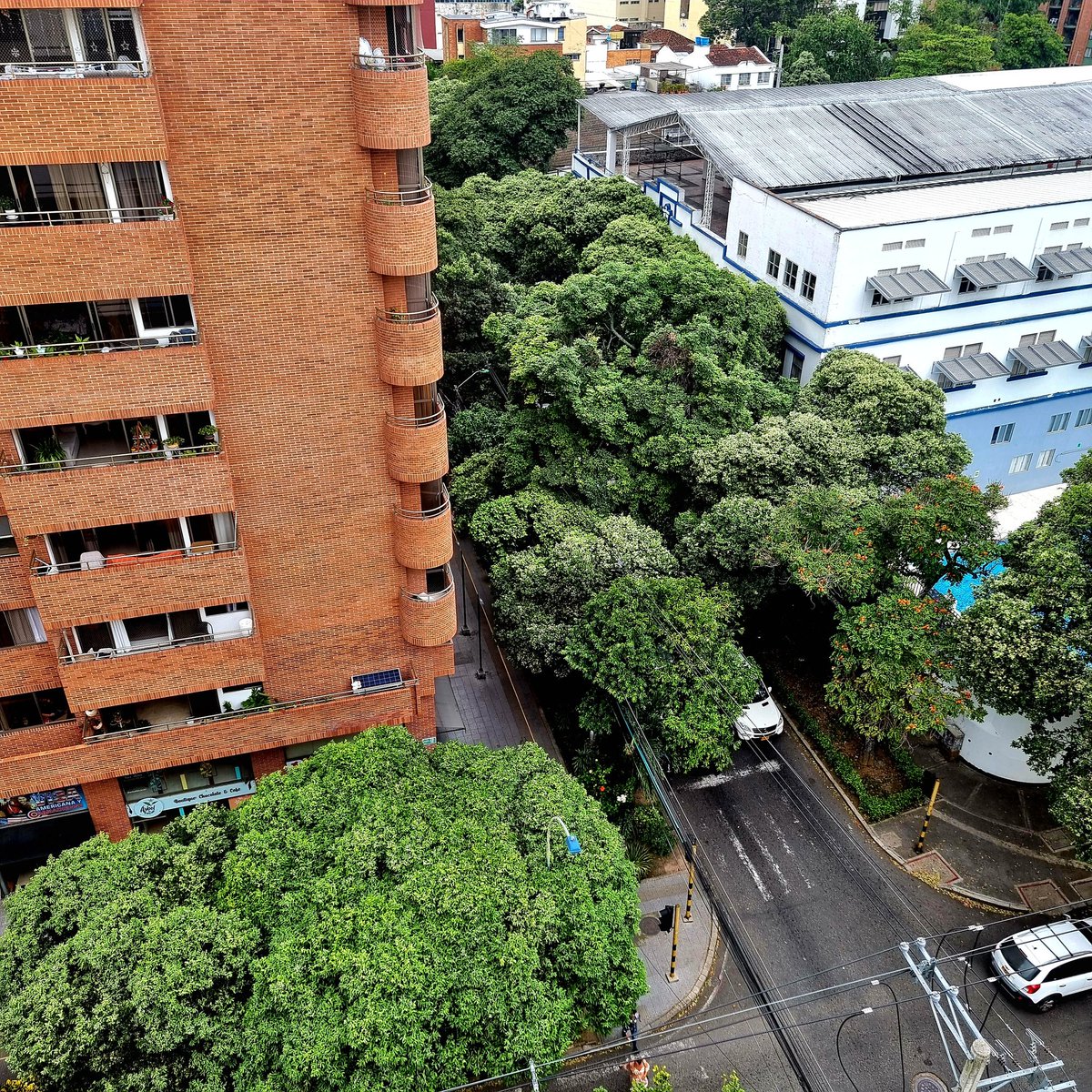 Se puede soñar...

Se imaginan lo bonita que fuera #Bucaramanga si todas las calles fueran arborizadas como la calle 48 entre  Carreras 27A y Carrera 28....