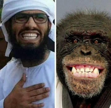 الــشـــامـــخ tweet media