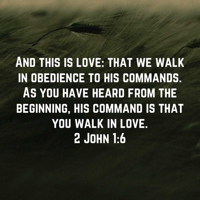 2 John 1:6 #2john16 #andthisislovethatwewalkinobediencwtohiscommands #asyouhaveheardfromthebeginning #hiscommandisthatyouwalkinlove #niv #newtestament #newtestamentverse #god #jesus #jesuschrist #jesuscalling #holyspirit #holybible #bible #bibleverse #bibleverseoftheday