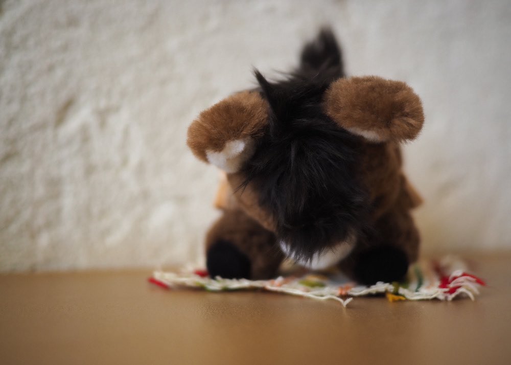 싸샤베어 tweet media