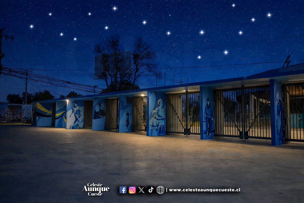🌟 16 estrellas que cuidan a la región. A descansar celestes 🇧🇼🏆
#CelesteAunqueCueste ✍