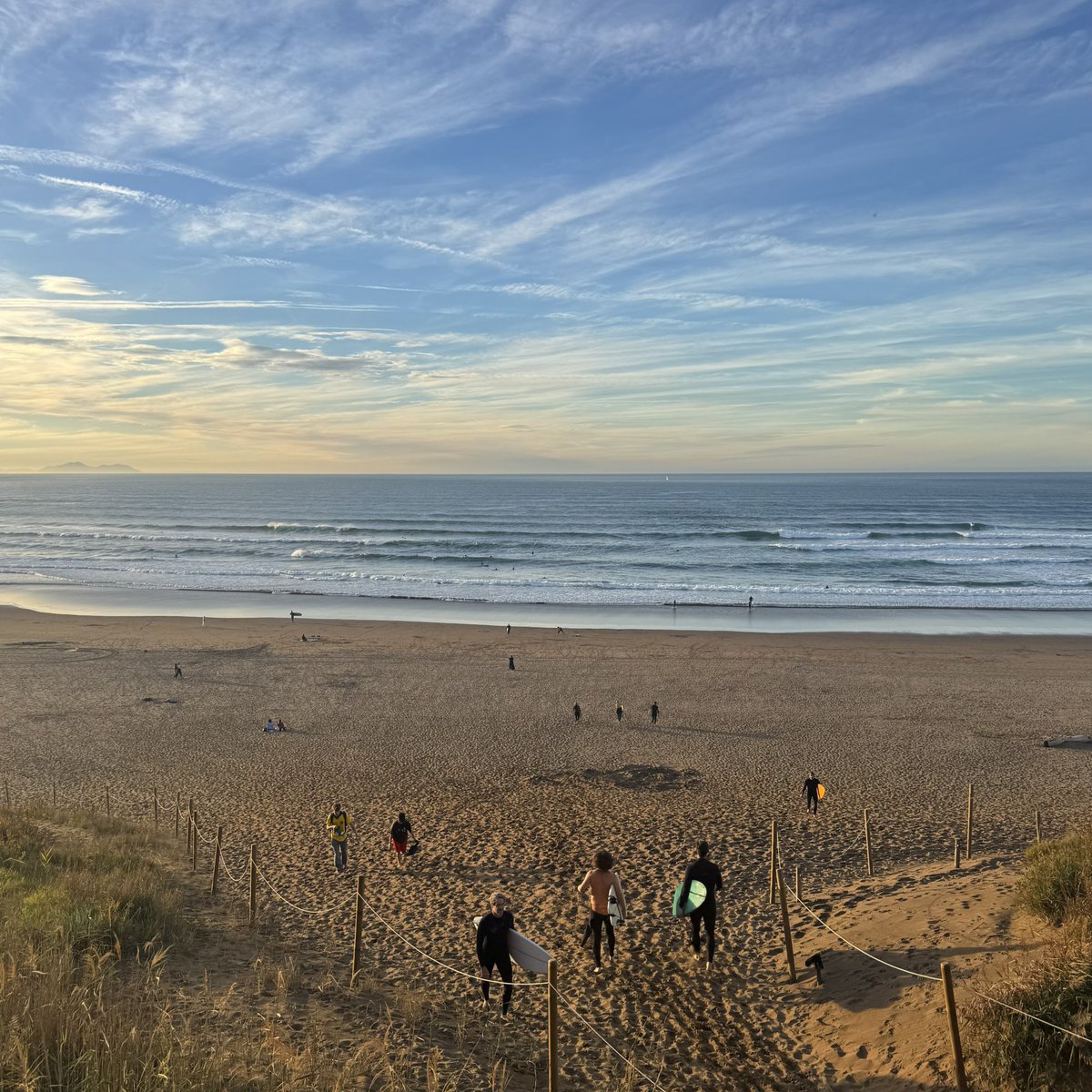 Carnegie Clean Energy tweet media