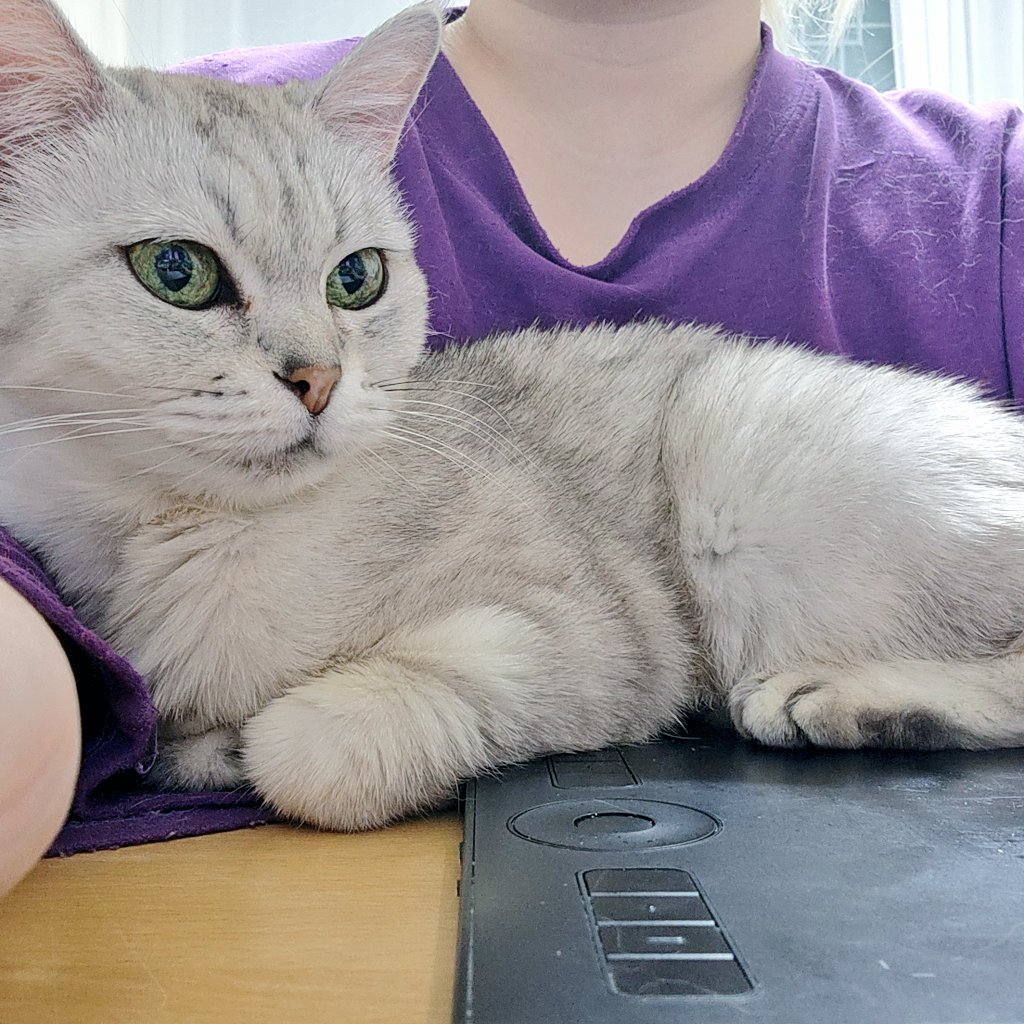 천린 | 1000rin tweet media