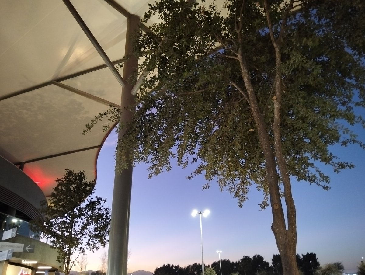 Cpm ropa de gym porque el don de la lavandería perdió las llaves de su negocio 🫠