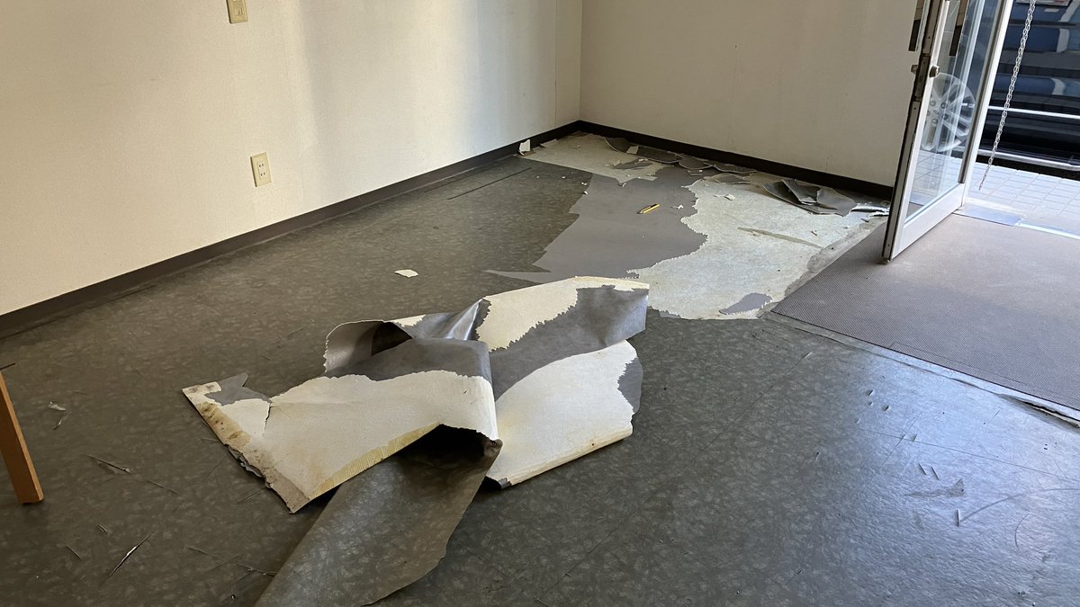 二匹の羊 tweet media