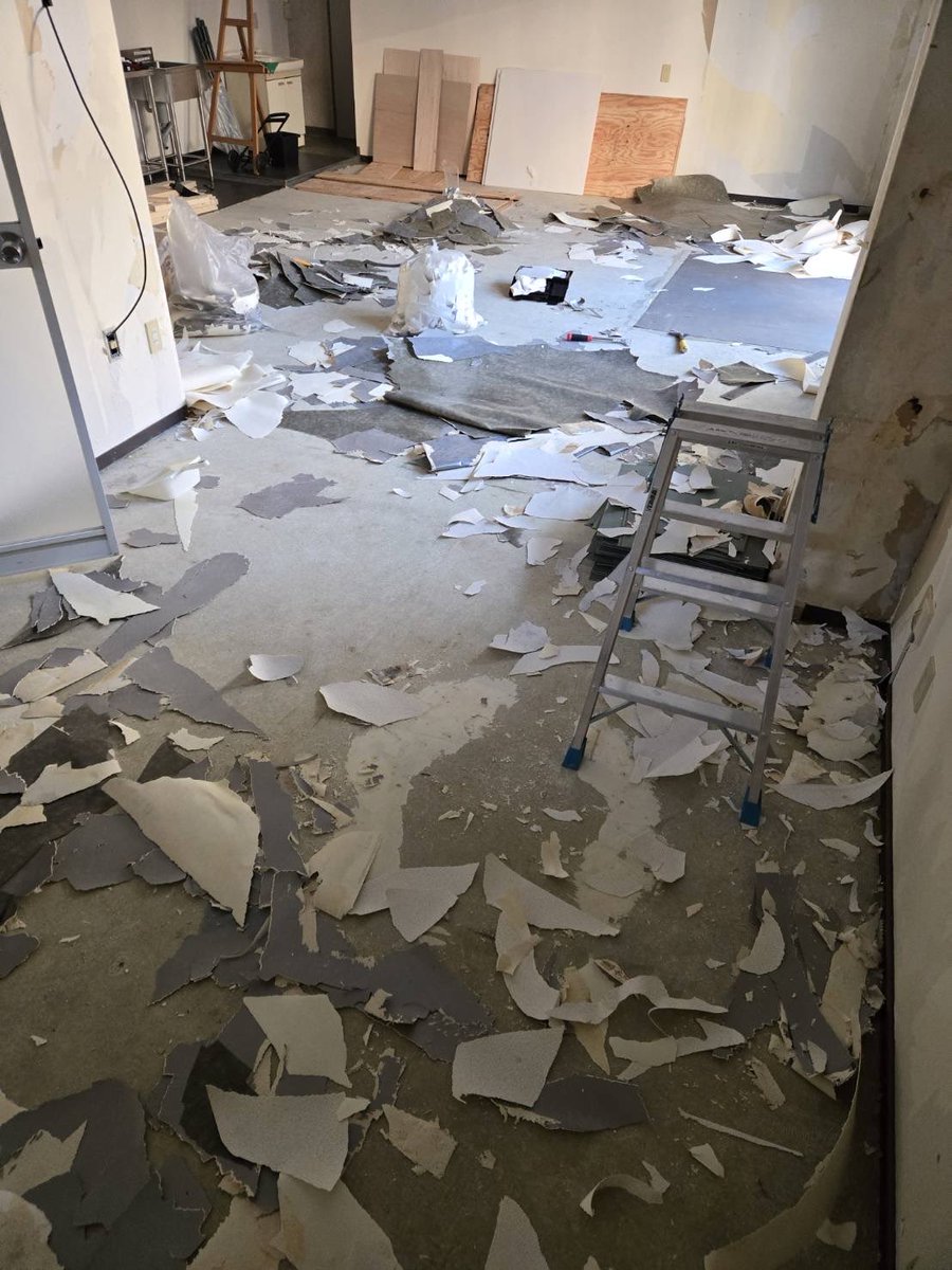 二匹の羊 tweet media