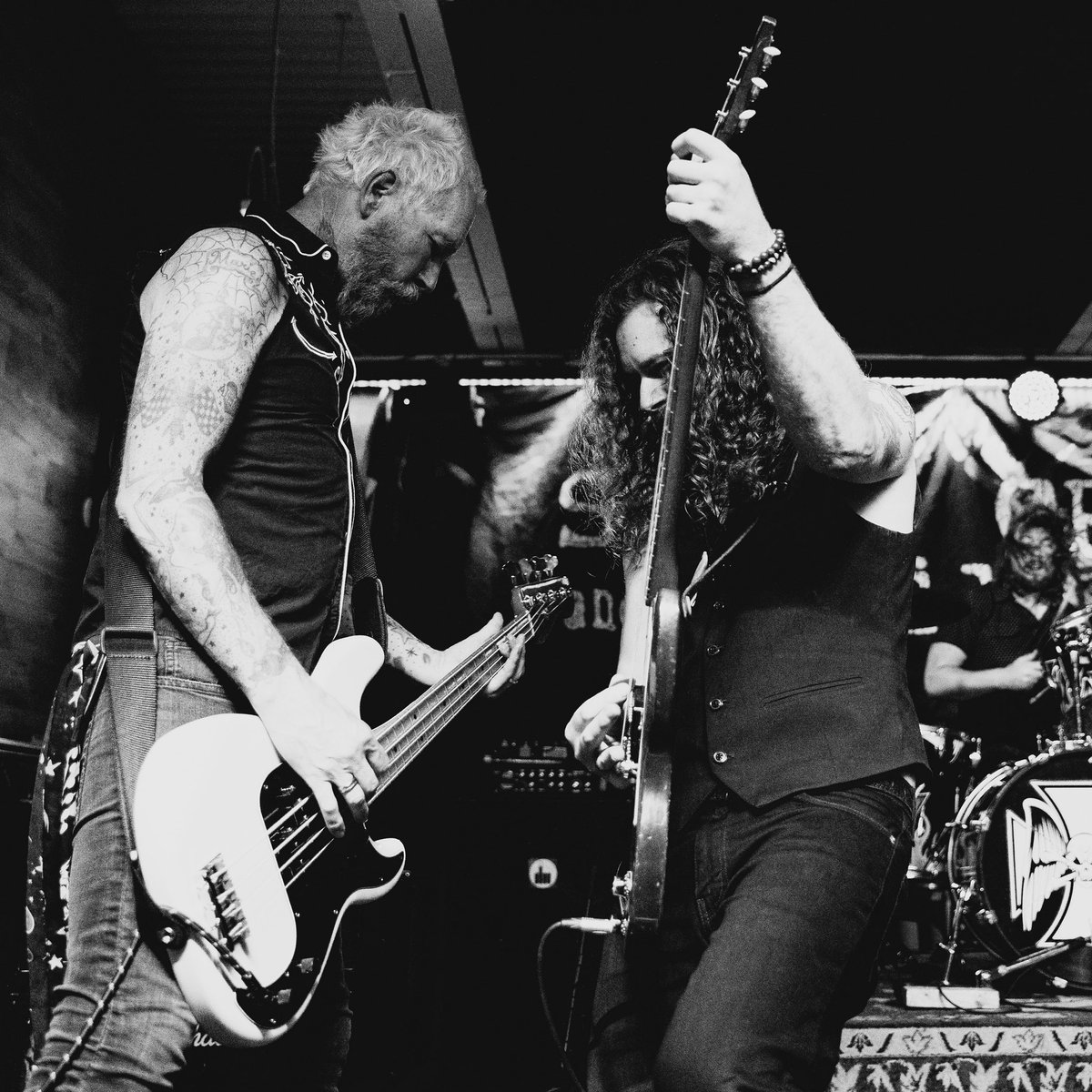 Steve Creep and the Wildcards tweet media