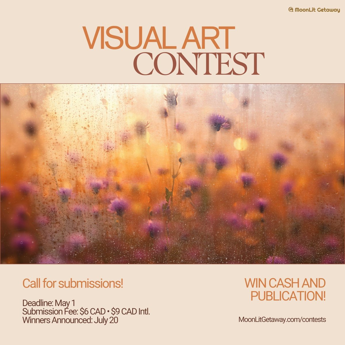 MoonLit Getaway tweet media