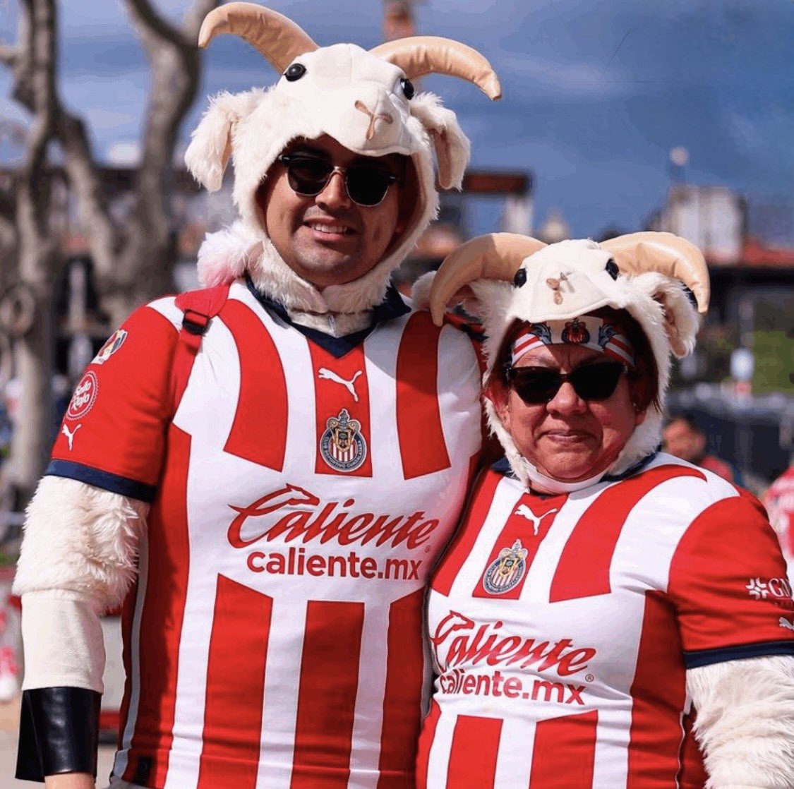 Therians en Buenos Aires // Therians en Guadalajara