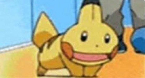 pokemon_twts's tweet photo. Pikachu imitating Mudkip https://t.co/B5SrbCBLH7