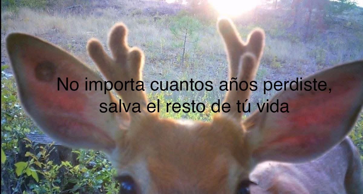 lafresitaahhv's tweet image. 