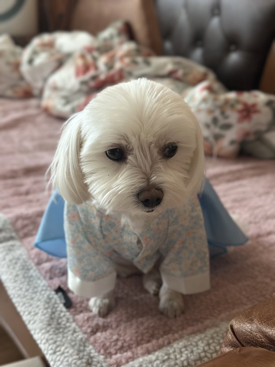 YoonsikM's tweet photo. 새해복많이받으셔요 https://t.co/GMtvKy8WTa