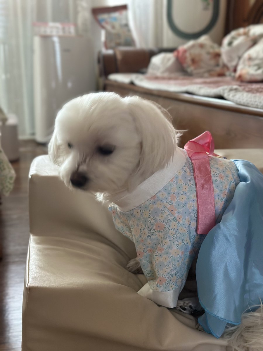 YoonsikM's tweet photo. 새해복많이받으셔요 https://t.co/GMtvKy8WTa