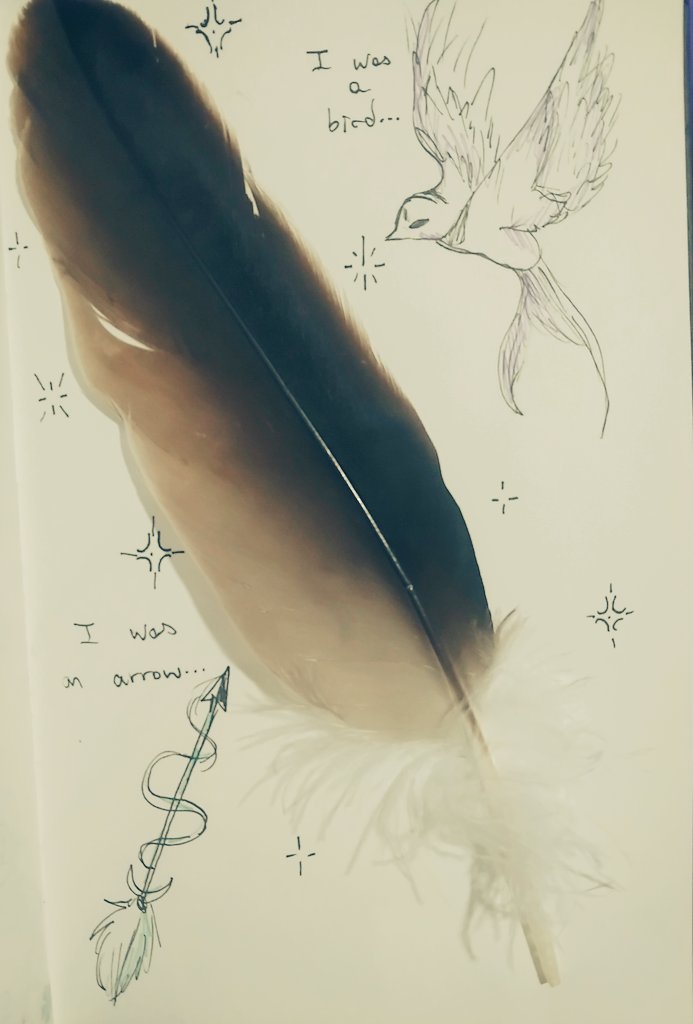 Encontré esta pluma camino al instituto, es enorme, no se de que sea