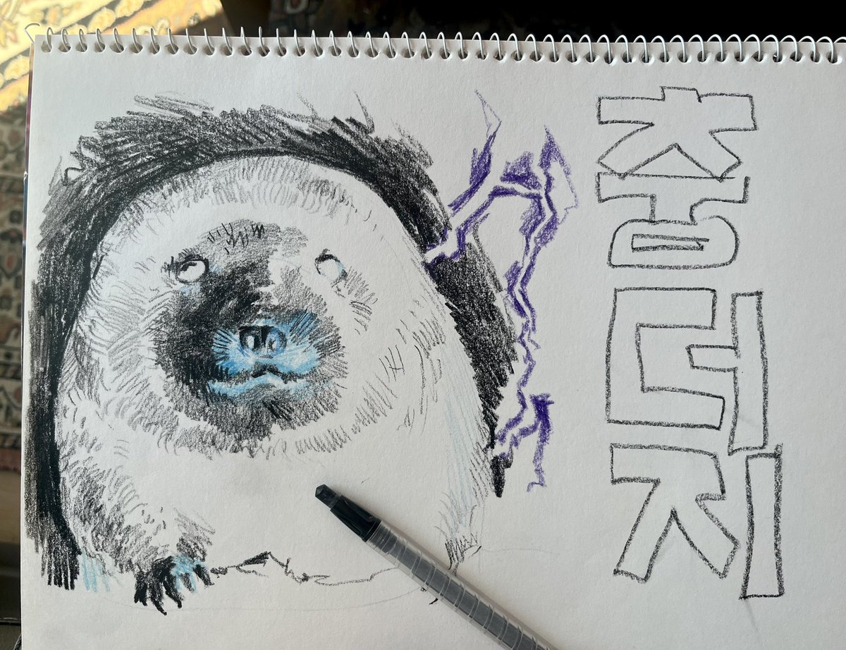 할머니집색연필로충더지그렸어요