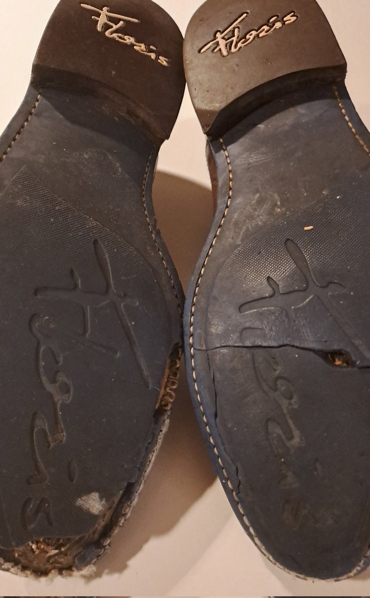 Reality Czar 🍌👑🅰️rend-Jan🤡🌍 tweet media