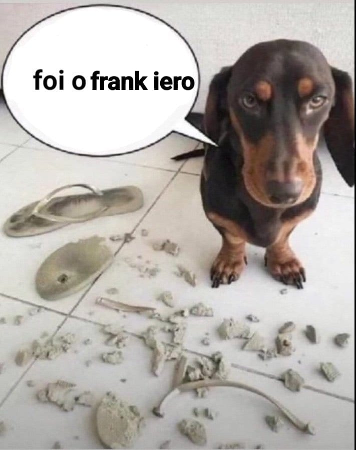 Tudo pra mim é culpa do frank iero