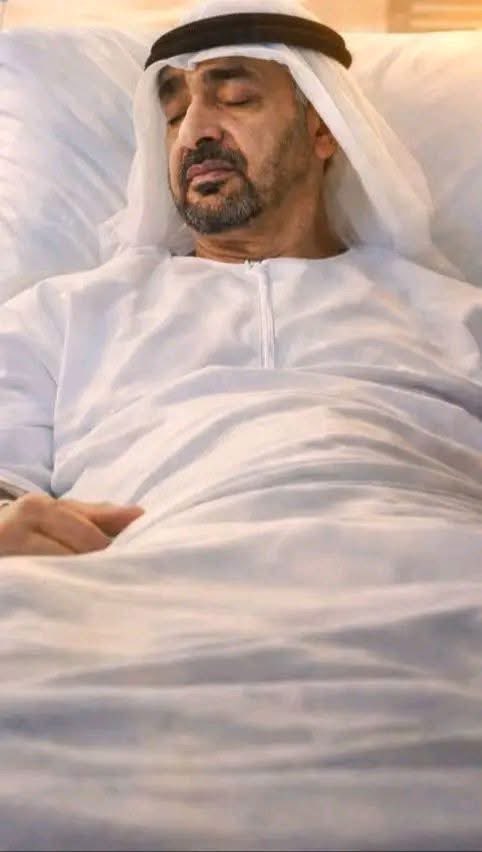 يمهل ولا يهمل 🤨 
#محمد_بن_زايد