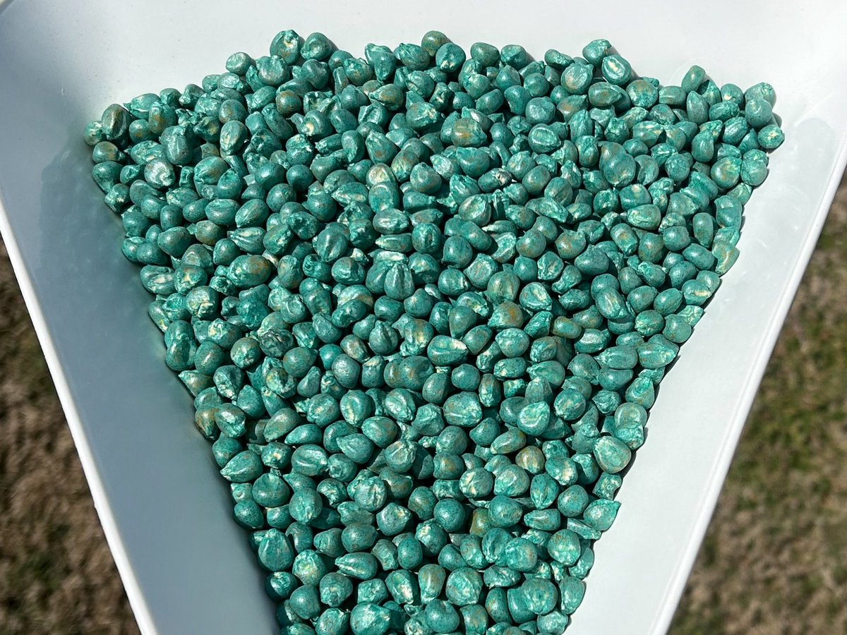 Erick Larson tweet media