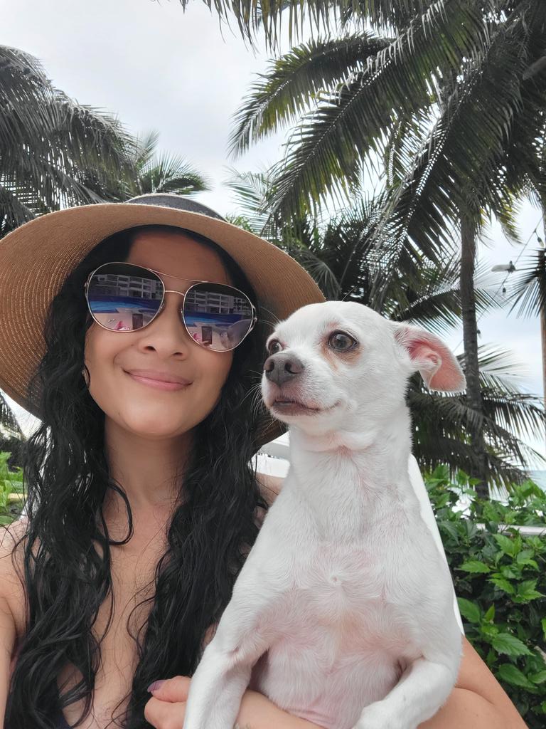 Elizabeth Donoso tweet media