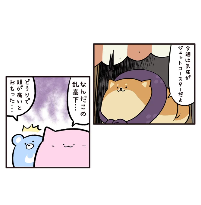 気圧の変化は犬でも猫でもくまでもしんどい 